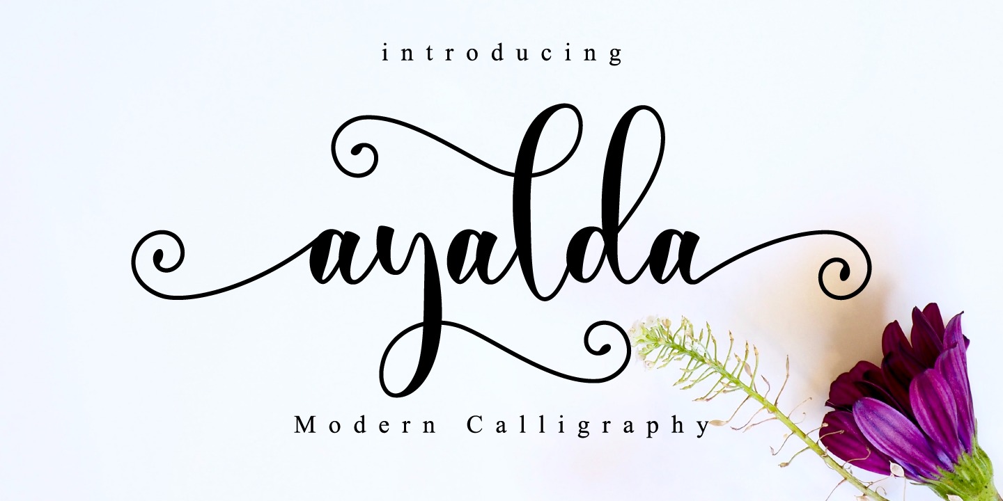 Beispiel einer Ayalda Regular-Schriftart